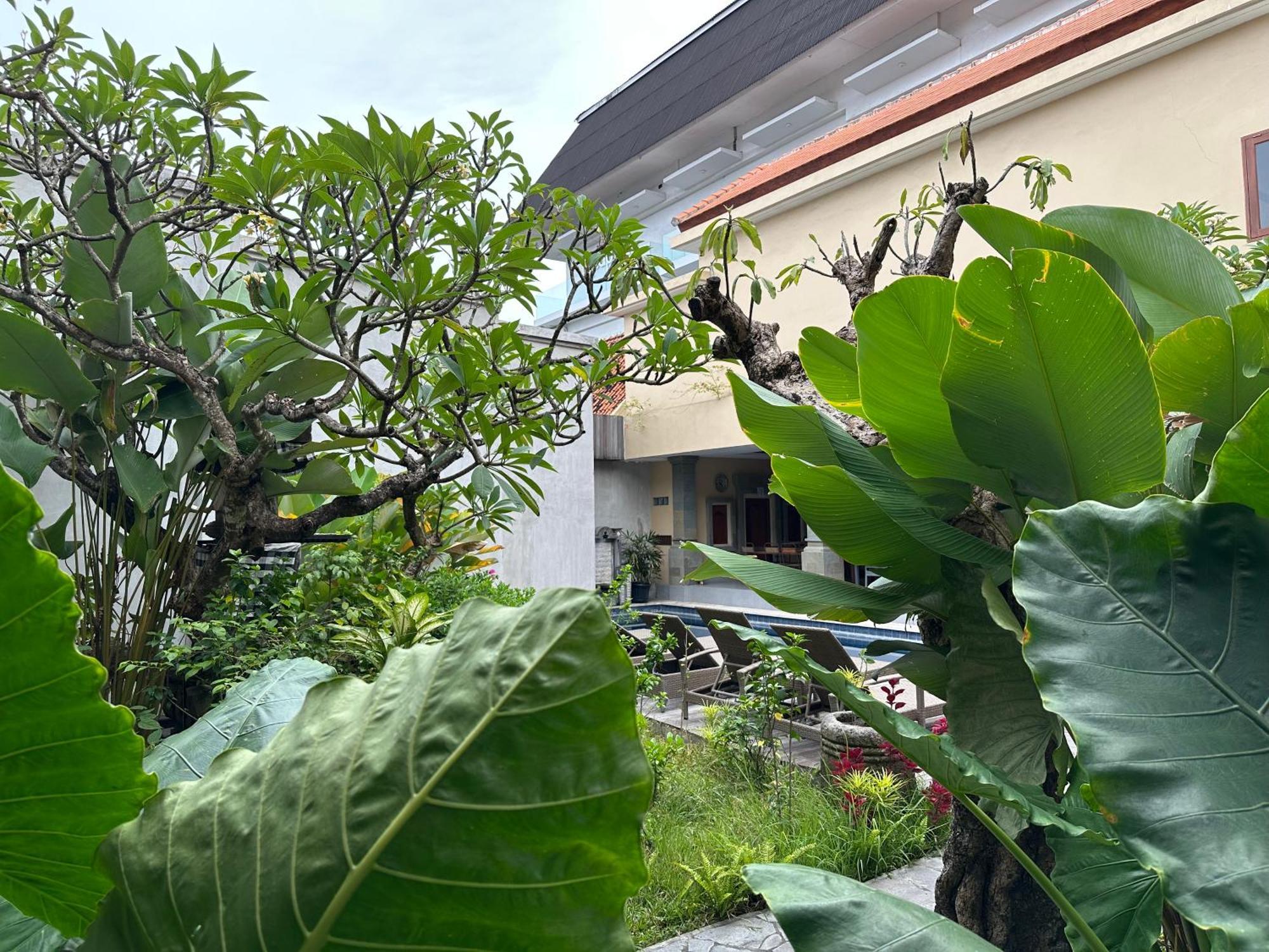 Villa Bunga Hotel Seminyak Zewnętrze zdjęcie